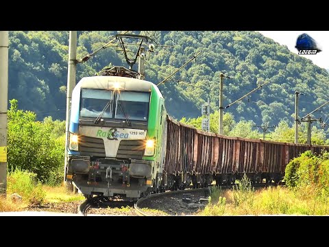 Două Trenuri de Marfă în Gara Năsaud - 08 August 2024