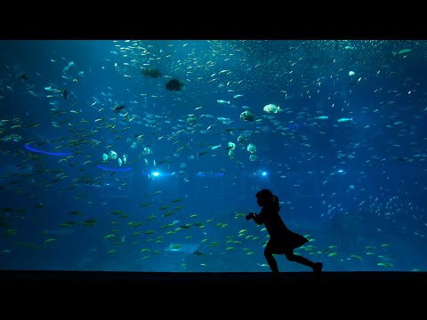 Sátyr x Phlocalyst - Argo 🌠 [lofi hip hop/relaxing beats]