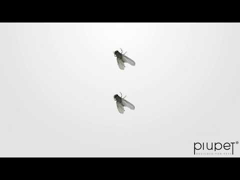 Katzenspiel: Catching fly oder auch das beste Videospiel für Katzen