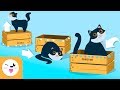 Prepositions of place for children - The concept of space, for kids - Where things are Prepositions of place for children - The concept of space, for kids - Where things are