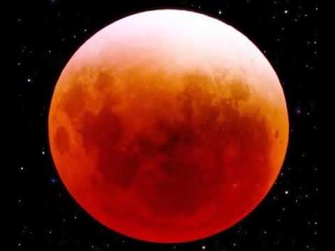 Jehovah, My Father, My God and Friend  Song 91   Sing To Jehovah