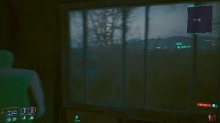 サイバーパンク2077　何か変なのある