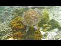 Diving Atmosphere Resort, Philippines 2016, Atmosphere Resort & Dive Center Negros, Philippinen