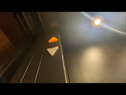 Restoration Hardware-Tampa FL