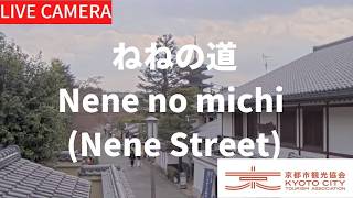ねねの道