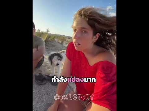 กดใจให้แก่หมาผู้น่าสงสาร❤️‍🩹❤️‍🩹🥲 #shorts 