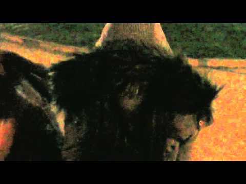 McBain, nos atacan comunistas nazis