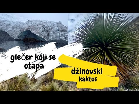DŽINOVSKI KAKTUS i GLEČER koji se otapa [S2-107]