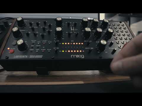 Moog Labyrinth - First Techno Encounter