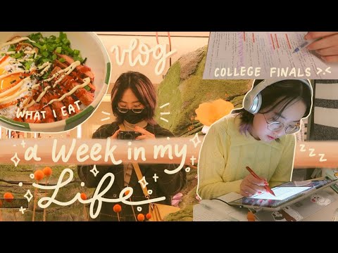 a week in my life 📚 the reality of college: studying, getting sick, learning how to adult™️