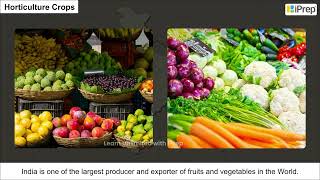 Food Crops Other Than Grains |Agriculture | Geography | Class 10 | iPrep