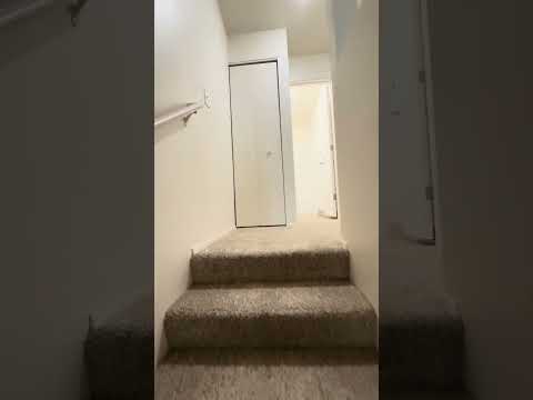 Burnside Firs - Video 2 of 2