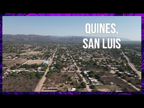 Quines, San Luis, Argentina . #traveling #nature #lizard