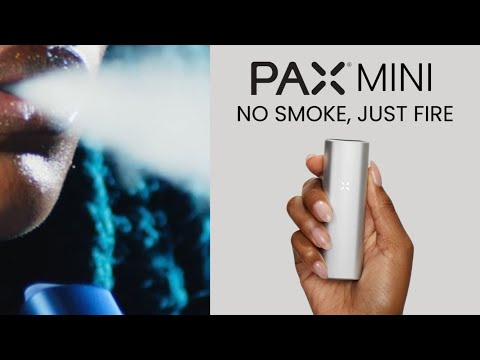Pax Mini in 2024 - Is it any good? Unboxing, Review, and Vape Test