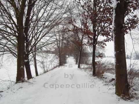 Capercaillie - Calum's Road