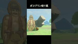 ボコブリン殴り罠 【ゼルダの伝説 ティアーズオブザキングダム】