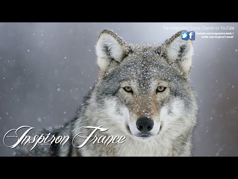 Rank 1 vs Jochen Miller - The Great Escape (Extended)