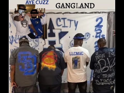 LOS ANGELES GANGS (HARBOR CITY CRIPS) harbor city California