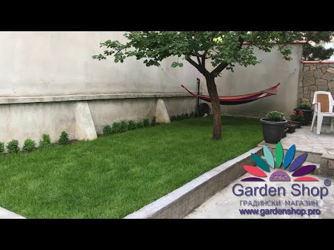 When to plant grass seed in east Tennessee