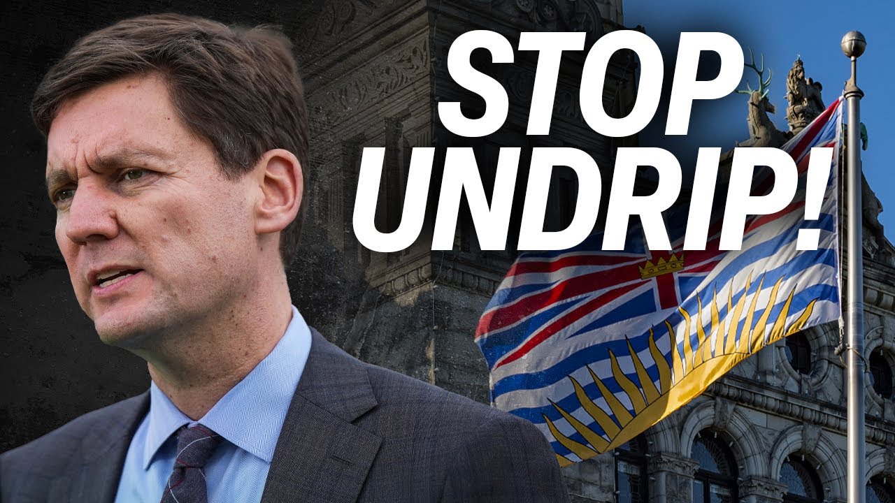 Reconciliation or discrimination? The truth about B.C.'s UNDRIP law and how to stop it