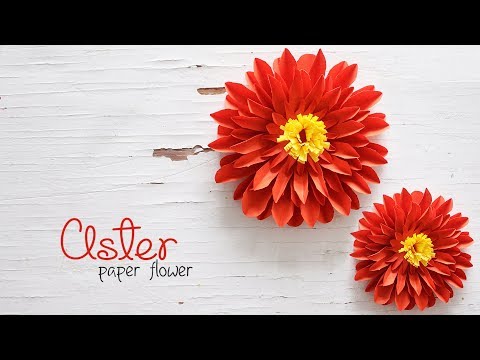 DIY Aster Flowers