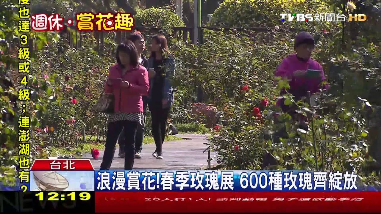 浪漫賞花！春季玫瑰展　600種玫瑰齊綻放