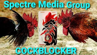 Video thumbnail for SMG Cockblocker Noise Gate Epic Fail!!!! Unboxing, Review, And Demo by Truck Driver Shawn