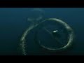 Mega Shark Versus Giant Octopus [2009] - Giant Octopus Screen Time