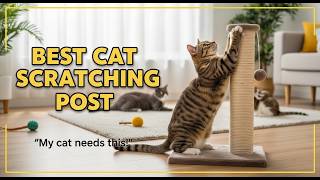 TOP 5 Best Cat Scratching Post 2026 | Cat Scratching Posts T