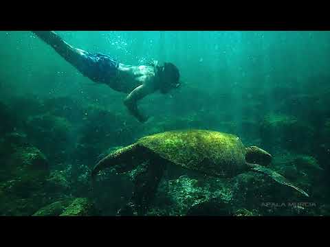 Playa Baquerizo - Bahía Darwin - Isla San Cristóbal (Parque Nacional Galápagos - Ecuador)
