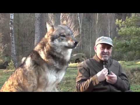 2016 -12 -10 Jahresabschluß Hundewanderung m  Michael Eichhorn