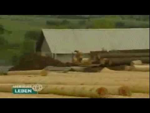 Was ist ein Blockhaus, Rund- oder Naturstammhaus? (TV-Bericht)