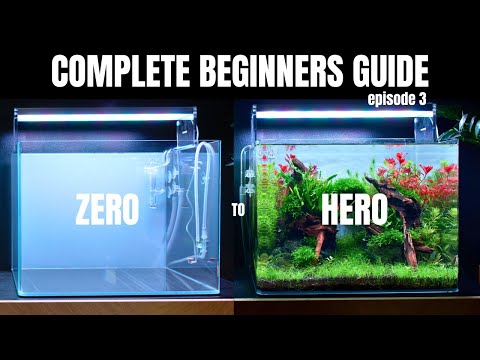 EP:3 Complete Aquascaping Beginners Guide - Substrate & Hardscape