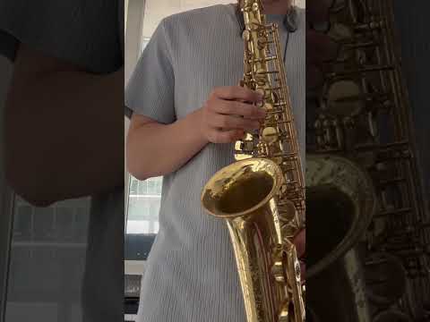 Yamaha YAS-52 Alto Saxophone image 10