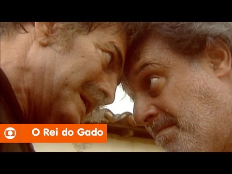 NOVELA - O Rei do Gado 