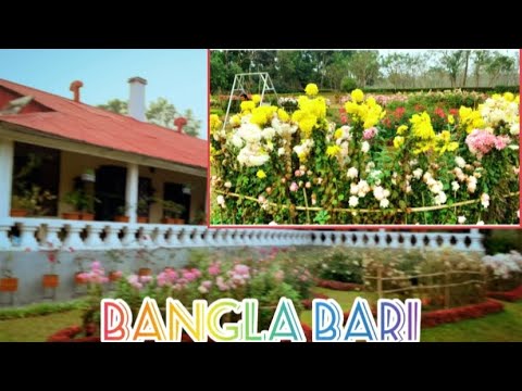 Sahan vlog | flowers Nihe Akti  vlog |