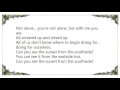 Lifetime - Ostrichsized Lyrics