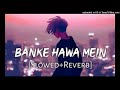Banke Hawa Mein [Slowed Reverb] Altamash Faridi _ Sad Song _ Lofi Music Channel_160K)