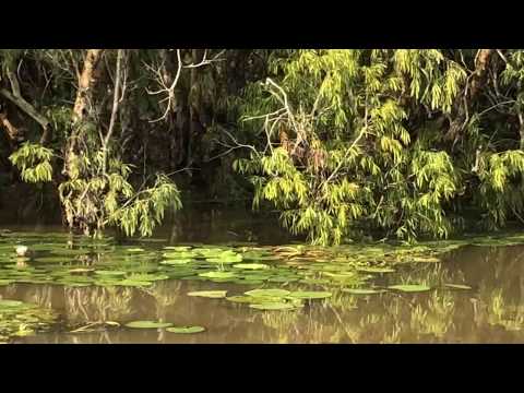 Yellow Waters Lagoon