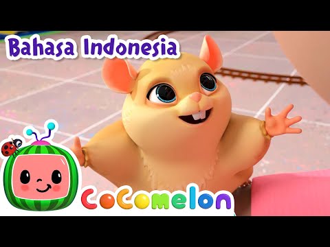 Lagu Peliharaan Kelas | CoComelon Bahasa Indonesia - Lagu Anak Anak