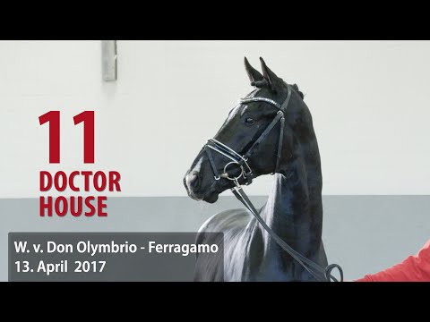 11 Doctor House Wallach v. Don Olymbrio L - Ferragamo