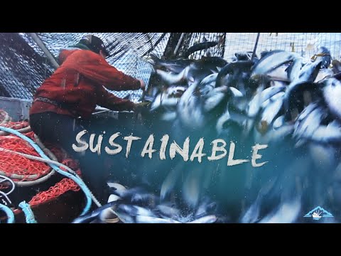 ASMI Documentary Commercial