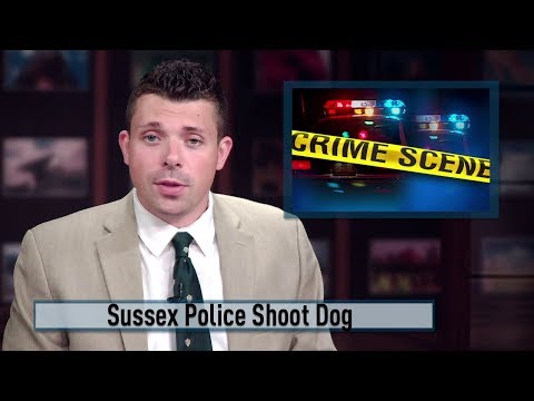 NJ Vernon Township Police Shoot Aggressive Dog