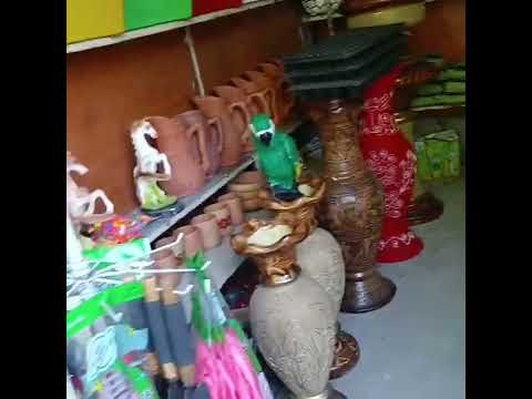 Nursery #flowers #shorts #viral #trending #garden #zunikidunya