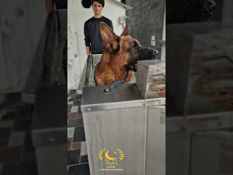 Water trademal ||masels work ||pakistanpoint