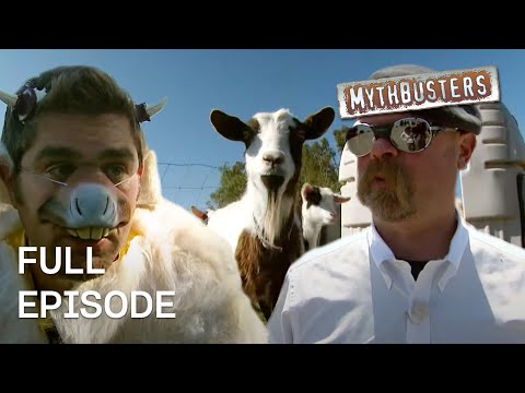 The Best of Viral Myths | MythBusters | Season 6 Episode 6 | Full Episode
