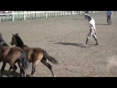 PIAL DOBLE  en Estancia Santa María