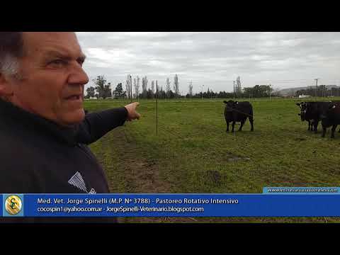 Veterinarian Jorge Spinelli. Intensive Rotational Grazing