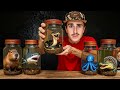 I Bought The Most Dangerous Creatures On The Dark Web