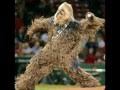 I Did It All For The Wookie - Limp Bizkit "Nookie ...